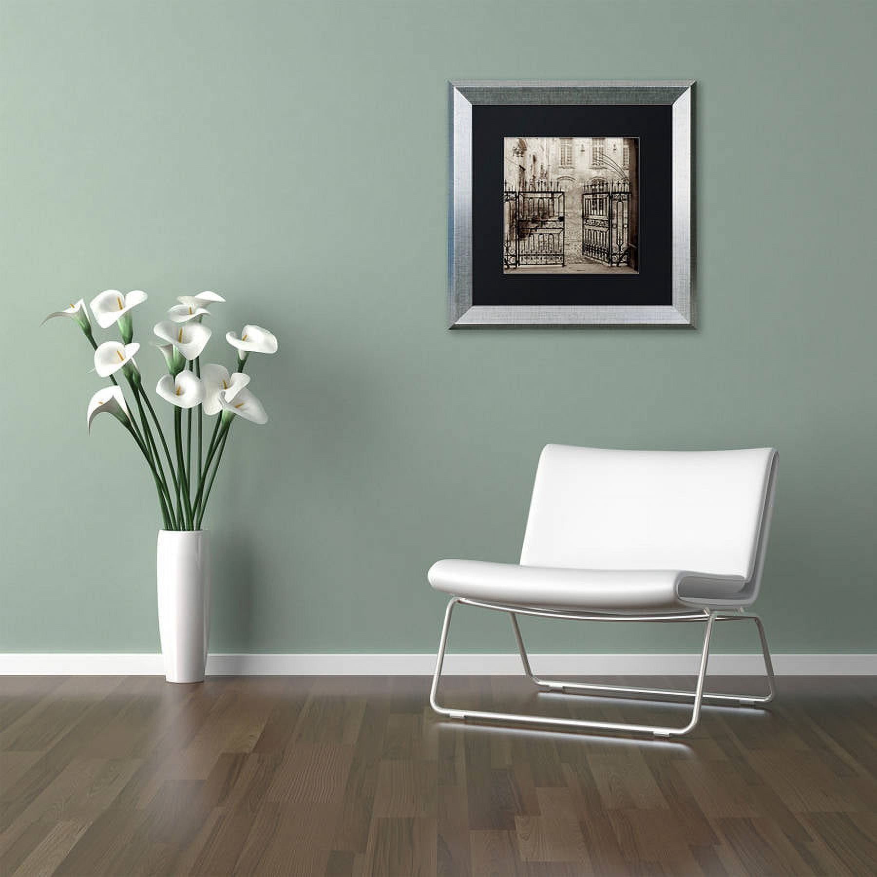 Trademark Fine Art "Avignon II" Canvas Art by Alan Blaustein, Black Matte, Silver Frame