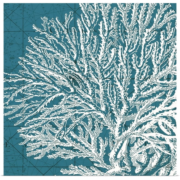 Great BIG Canvas | Rolled Vision Studio Poster Print entitled Coastal Menagerie I