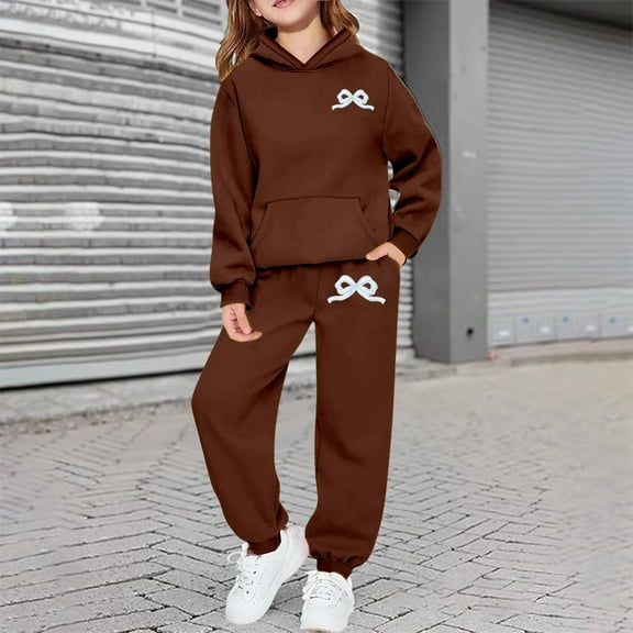 Toddler Sweatsuit Set for Girls 2 Piece Long Sleeve Bow Hoodies Pullover and Jogger Pants Fall Winter Clothes 2-3 Years Girls Clothes