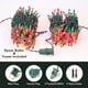 thumbnail image 5 of Luces de Navidad ODEETRONIC Multicolor 6.6 m 100 Bombillas 120V, 5 of 7