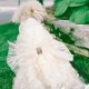 thumbnail image 3 of KAKOWELY Vestido de novia para perro, falda tutú, vestido decorativo para perro, estilo elegante, vestido de novia para cachorro., 3 of 5
