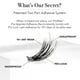 thumbnail image 5 of Eyelash Clusters Pro Lash ProWear, impermeables durante 10 días, 3 juegos, 5 of 8