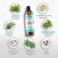 thumbnail image 4 of Enjuague Bucal Con Aceite Sin Alcohol Lengua Menta Limpieza para La, 4 of 4