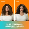 thumbnail image 5 of Quenching + Coconut Curls Curl-Defining Shampoo, Hydrating & Nourishing Curly Hair Shampoo with Coconut Oil, Citrus Oil & Honey, Paraben-Free, Sulfate-Free Surfactants, 5 of 8