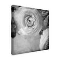 thumbnail image 2 of Judy Stalus 'Dark Ranunculus IV' Canvas Art, 2 of 3
