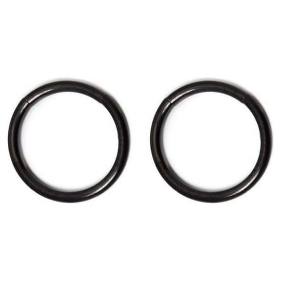 Pair of I.P. Coated 16G Seamless Segment Ring