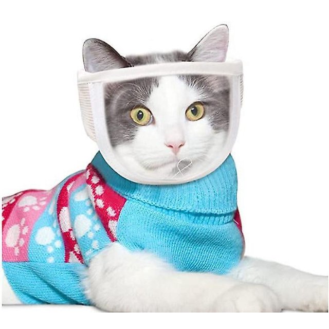 Máscara de gato transparente, antichirridos, antimordeduras, anticomer al azar, máscara de limpieza, transpirable, visión abierta, casco de gato montés