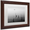 thumbnail image 2 of Trademark Fine Art "4 Herons and Boat" Canvas Art by Moises Levy White Matte, Wood Frame, 2 of 4