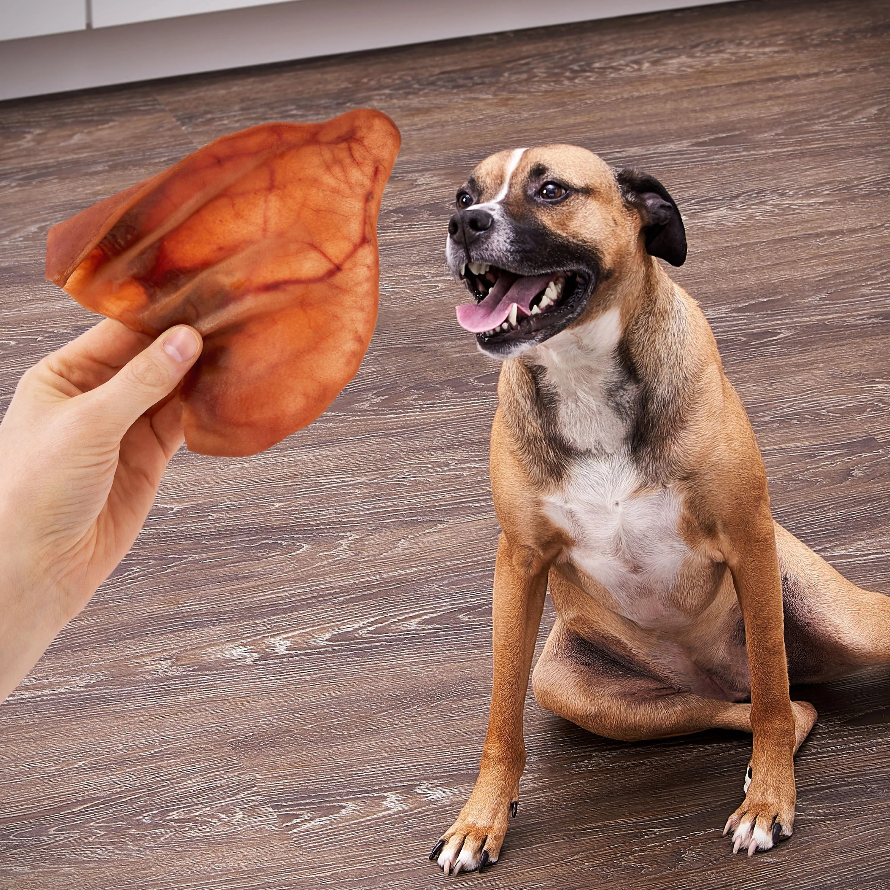 Ol' Roy Natural Jumbo Pig Ear Chews for Dogs, 12 oz, 10 Count