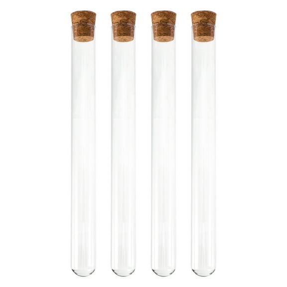 BESTOYARD 4Pcs Clear Test Tubes for Sealed Storage in School Scientific Experiments