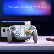 NYXI Wizard Wireless Joy-pad for Switch2/Switch Silver