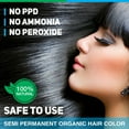 thumbnail image 6 of Vegetal Safe Hair Color - Burgundy 100gm - Certified Organic Chemical and Allergy Free Bio Natural Hair Color with No Ammonia Formula for Men & Women, 6 of 6