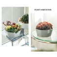 thumbnail image 4 of Simple Flower Pot Set Planter Succulent Plants Large Opening Bottom Tray Indoor Flowerpot Household Durable Holder White, 4 of 9