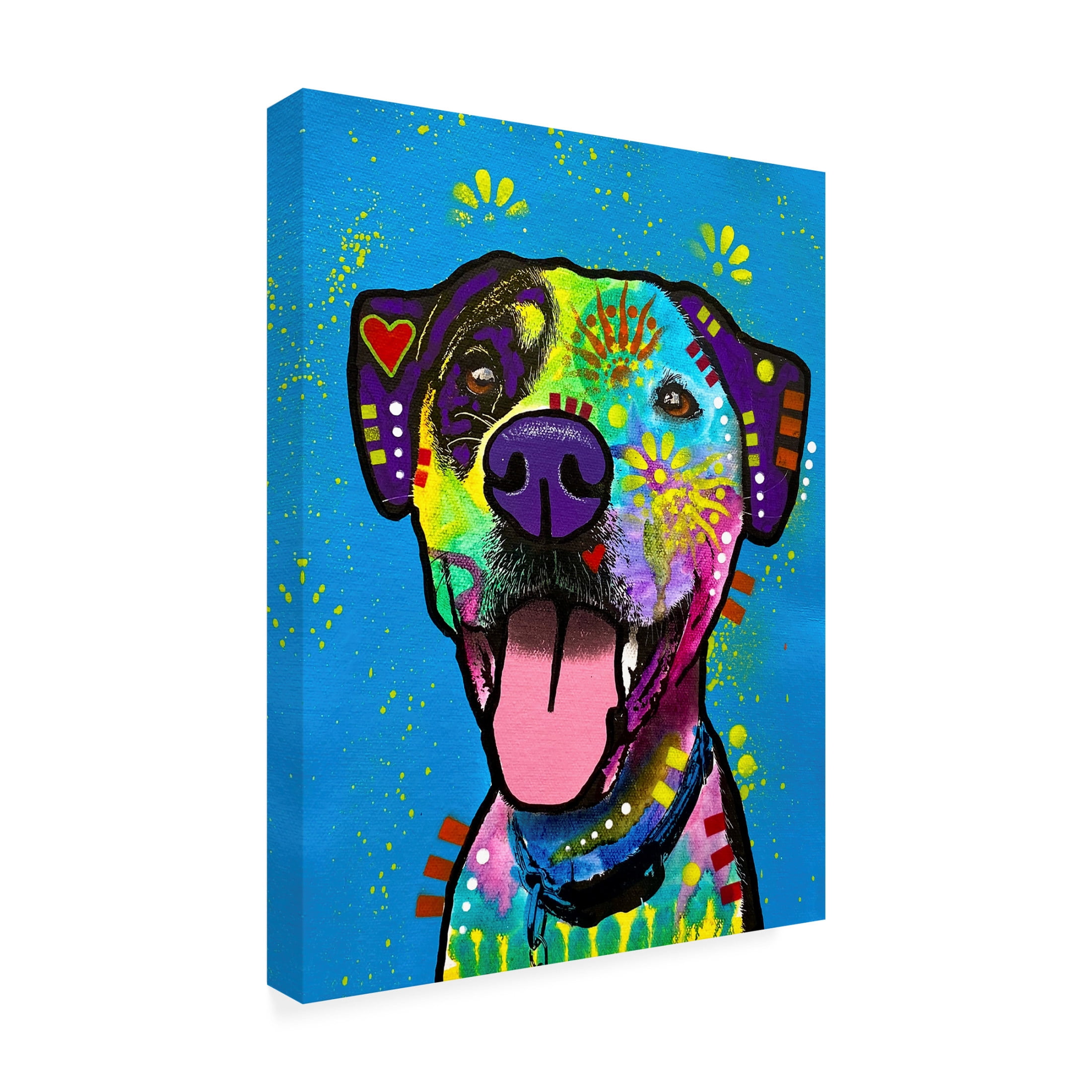 Canvas Wall Art - Dean Russo 'Delux' Wall Art for Living Room, Bedroom, or Office Décor by Trademark Fine Art - 35 x 47 Inches