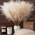 thumbnail image 3 of 1pc Faux Pampas Grass Tall 19.29"/ 1.61FT, Non-Shedding Large Artificial Fluffy Reed Fake Flower Feather Arrangement for Floor Vase Filler Boho Farmhouse Home Wedding Decor, 3 of 8