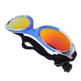 thumbnail image 4 of Gafas Para Perros, Alta Confiabilidad, Cómodas De Usar, Gafas De Sol Para Perros, 4 of 7