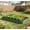 Green, variant on Raised Beds for Garden,Raised Planters for Garden Outdoor,8 X 4 X 1 FT Galvanised Metal Planter Box Beds Steel Kits for Vegetables Flower Herb Patio,SILVER