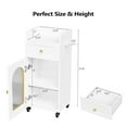 thumbnail image 5 of Salon Trolley Cart with Wheels, Hair Cart Mobile Storage Cabinet with Glass Door & Dryer Holder, Esthetician Cart Rolling Salon Station for Barber Beauty Spa Tattoo,Whitew, 5 of 16