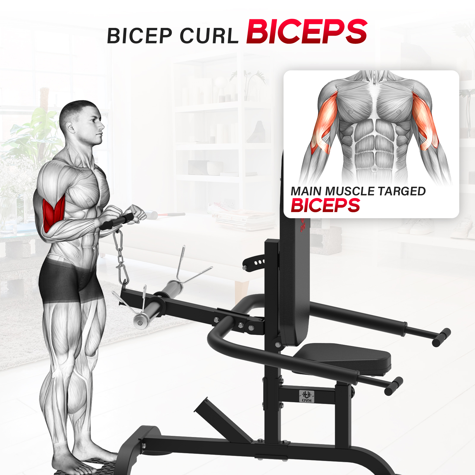 HeeH Plate-Loaded Seated Dip Machine: Tricep Machine for Biceps Strength Training Equipment Workout Black