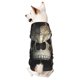 thumbnail image 1 of Balery Gold Pattern Skull Sudadera con Capucha para Perros Pequeños – Ropa para Mascotas, Disfraz para Perros y Gatos, Ideal para Fiestas y Cosplay-X-Large, 1 of 7