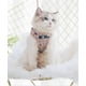 thumbnail image 4 of Correa Gato-Rosa-M Xemadio WMZL-542-4, 4 of 8