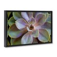 thumbnail image 3 of Stupell Industries Southwestern Blooming Succulent Leaves Black Floating Frame Canvas Art, 25 x 17, by Susan Bryant, 3 of 9