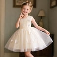 thumbnail image 6 of ITSAME Girls Tutu Dress, Puffy Tulle Waist-Cinching Sleeveless Kids Wedding Pageant Party Prom Gown Beige 2-3T, 6 of 7