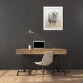 thumbnail image 3 of Harper, Ethan 12x14 White Modern Wood Framed Museum Art Print Titled - Fluffy Sheep II, 3 of 4