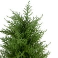 thumbnail image 3 of 2' Artificial Cedar Pine Petite Arborvitae Tree in Round Pot  Unlit - 12, 3 of 5