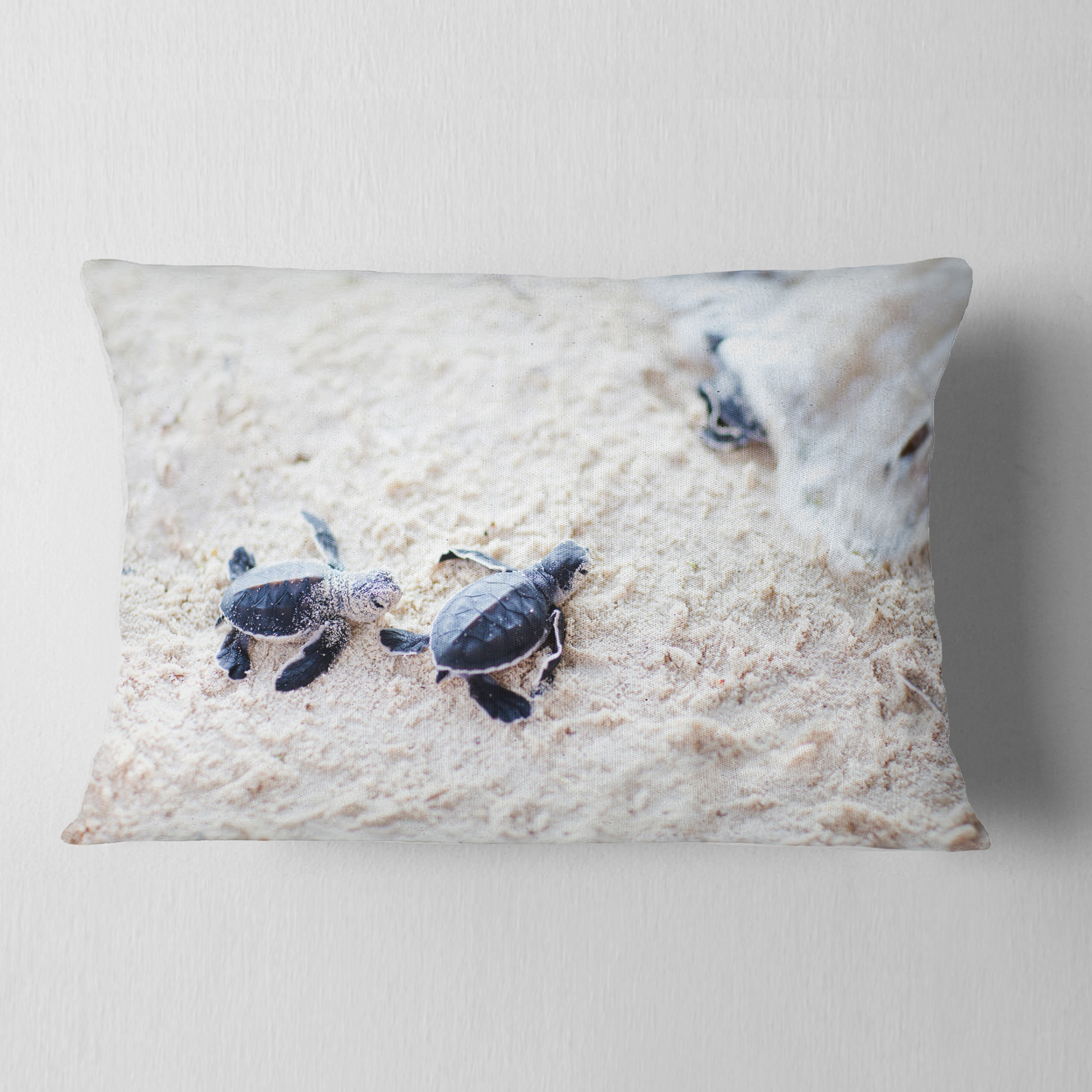 Designart Baby Green Turtles on Sand - Animal Throw Pillow - 12x20