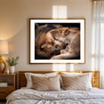 thumbnail image 3 of The Lions - Photography Wildlife Animal Nature Portrait Oak Framed Wall Art Print 9 x 12 inches, 3 of 5