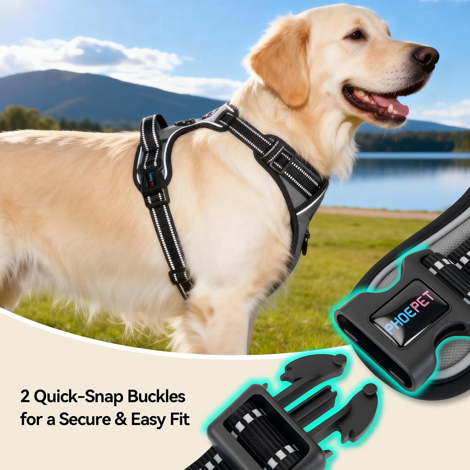 No Pull Dog Harness Medium Reflective Front Clip Vest with Handle, Adjustable 2 Metal Rings 2 Buckles(M, Grey)