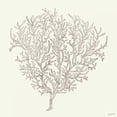 thumbnail image 3 of Tavoletti, Anne 12x12 Black Modern Framed Museum Art Print Titled - Coastal Breeze Shell Sketches I Silver, 3 of 5