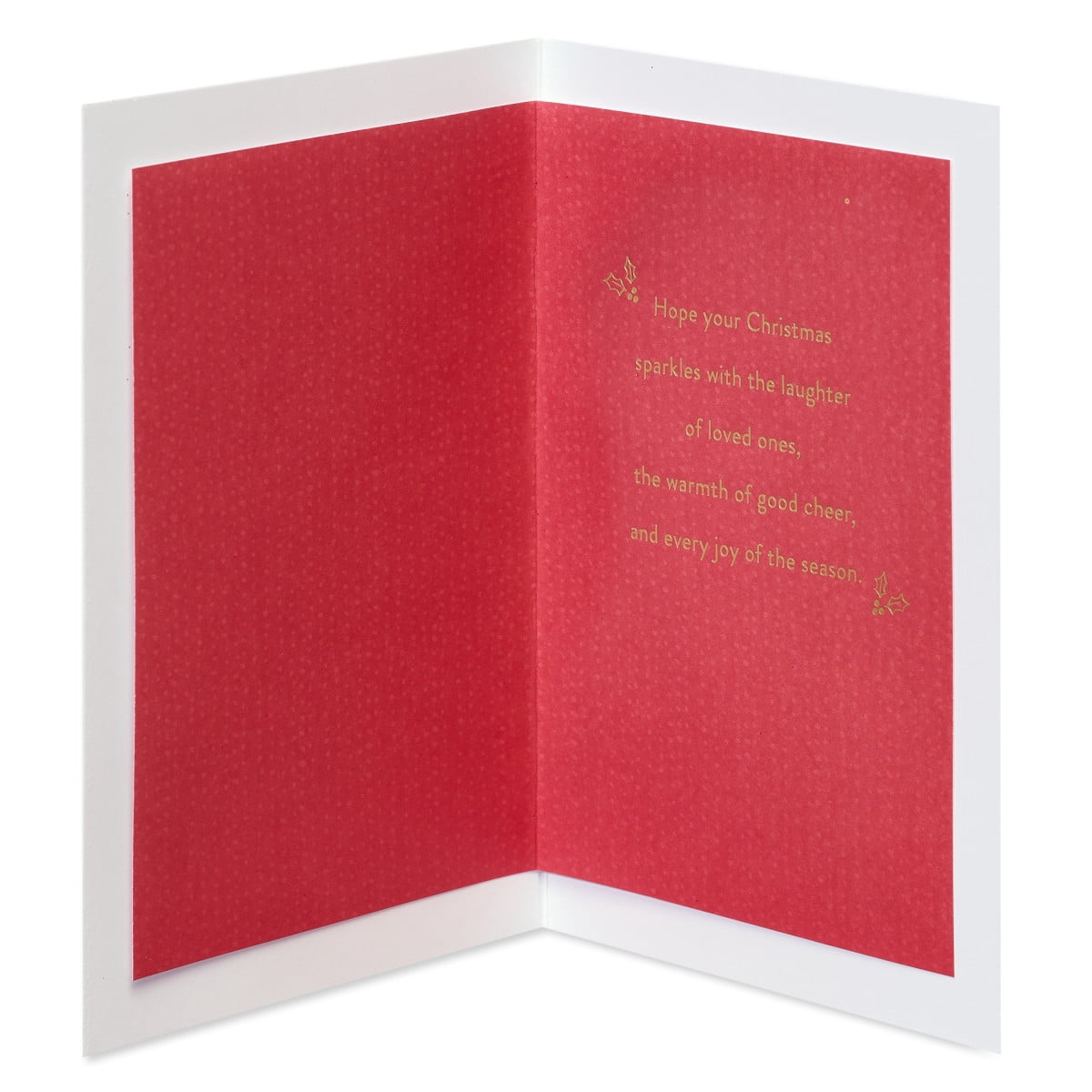American Greetings Christmas Card for Anyone (Merry and Bright)