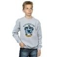 thumbnail image 3 of Harry Potter Boys Ravenclaw Sweatshirt, 3 of 6