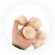 thumbnail image 4 of unbranded Guirnalda De Ajo Artificial Color Beige Para En Fiestas Y, 4 of 6