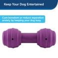 thumbnail image 4 of Dispensador de golosinas PetSafe Busy Buddy Chuckle Sound Toy para perros, 4 of 6