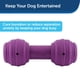 thumbnail image 4 of Dispensador de golosinas PetSafe Busy Buddy Chuckle Sound Toy para perros, 4 of 6