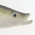 thumbnail image 3 of Abbracc Artificial Simulated Small Marine Ornament for Aquarium Home ration, Style_2, 3 of 8