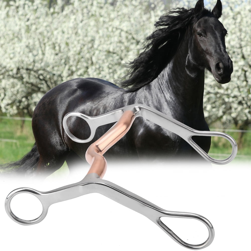 OTVIAP Horse Chew,DRing,Horse Chew Stainless Steel Breaking Bit Copper
