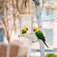 thumbnail image 4 of Espejo de Juguete para Jaula de Loros | Estimula La Curiosidad y El Entretenimiento | Materiales Seguros | Fácil de Instalar | Espejo Duradero | Enriquece El Ambiente de La Jaula | Apto para Diversas, 4 of 7