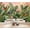 Color 1, variant on Wallpaper Tropical Palm Monstera Leaves Palm Leaves Fern Greenery Peel and Stick Wall Murals 69"H x 96"W Removable PVC Wall Paper Self-Adhesive Wall Paintings Art Decor for Bedroom Living Room