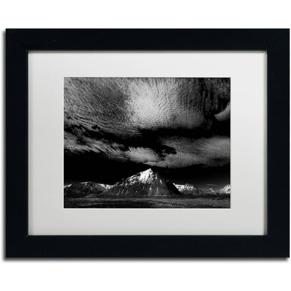 Trademark Fine Art "Space Invaders" Canvas Art by Philippe Sainte-Laudy White Matte, Black Frame