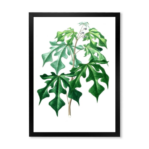 Designart 'Ancient Green Leaves Plants II' Traditional Framed Art Print