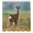 thumbnail image 3 of Ambesonne Hunting Shower Curtain, Deer Wildlife, 69"Wx70"L, Multicolor, 3 of 3