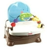 Fisher Price - Busy Baby Booster Seat, L