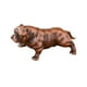 thumbnail image 2 of Figura de perro de latón, miniestatua, artesanía robusta, coleccionable, adorno de mesa, escultura para mesa, dormitorio, escritorio, decoración del Bronce, 2 of 8