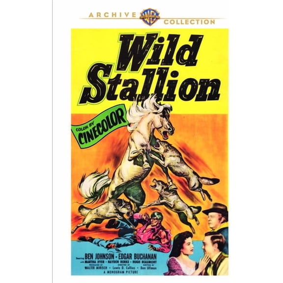 Warner Archives - Wild Stallion [DIGITAL VIDEO DISC]