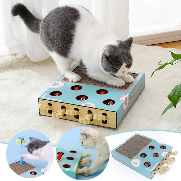 Kitty supplies cheap