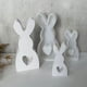 thumbnail image 1 of 2 uds moldes para velas de conejito molde portátil de conejo molde para jabón de cera moldes para velas de animales, 1 of 6